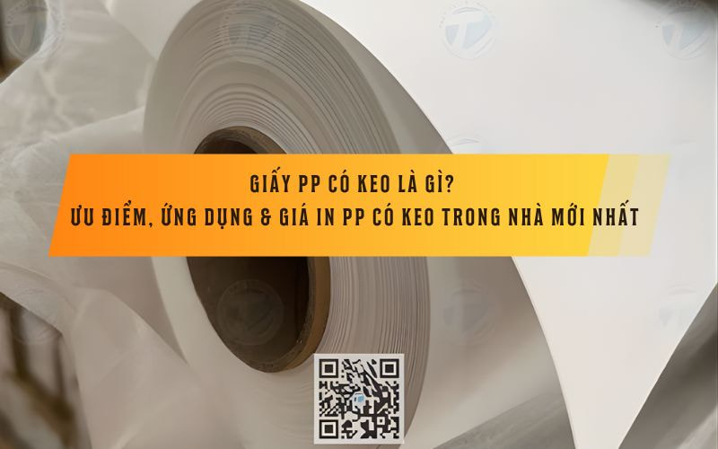 Giấy PP Có Keo Là Gì? Ưu Điểm, Ứng Dụng &amp; Giá In PP Có Keo Trong Nhà Mới Nhất